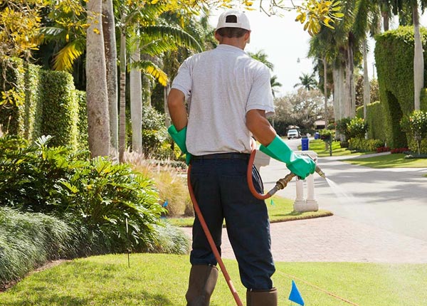 About Shermans Dale PA Pest Control
